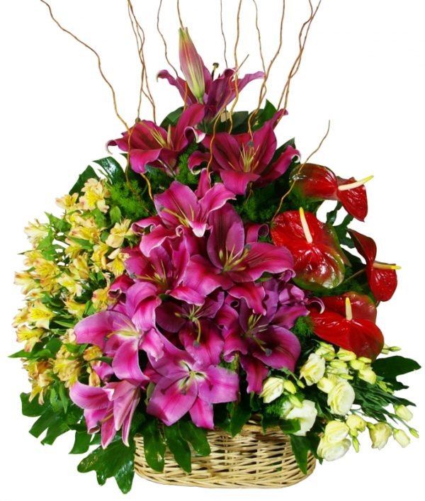 Radiant Bloom Harmony Basket